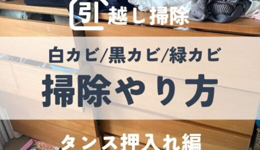 引越し時のタンス押入れの掃除のやり方！白カビ/黒カビ/緑カビを除去する方法