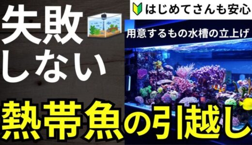 水槽や熱帯魚の引越し料金相場！水槽の引越し専門業者の探し方を詳しく解説